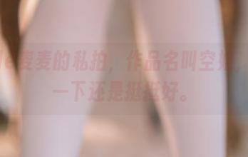 Seele麦麦的私拍，作品名叫空姐，翻了一下还是挺挺好。