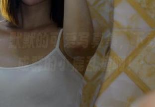 pans - 默默的可爱写真集，下载试试，成群的小鹿乱撞啊！
