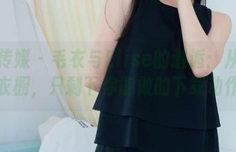 物恋传媒 - 毛衣与Elise的邂逅：从图库到衣橱，只剩下你能做的下载动作！