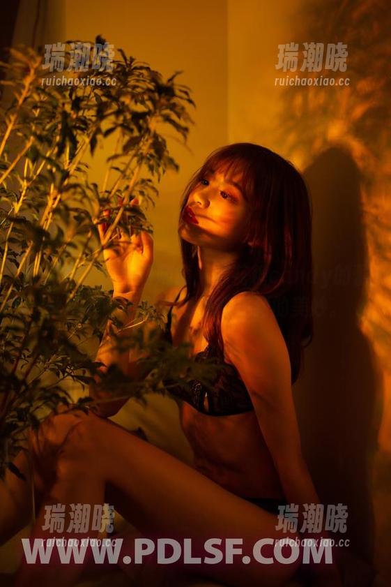 轰趴猫 - 拿走请随意，棉花糖candy的蕾丝资源可不是随便都能见到的美妙。